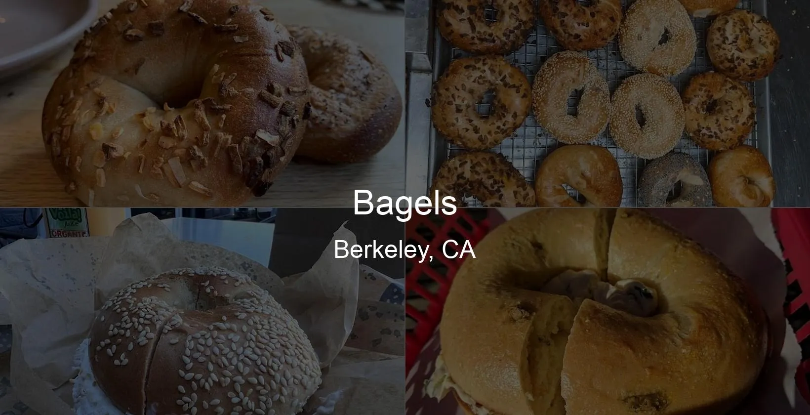 Bagels in Berkeley, CA Photo