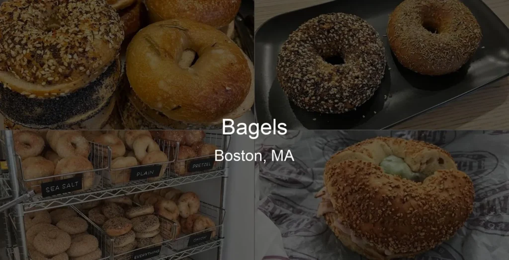 Bagels in Boston, MA Photo