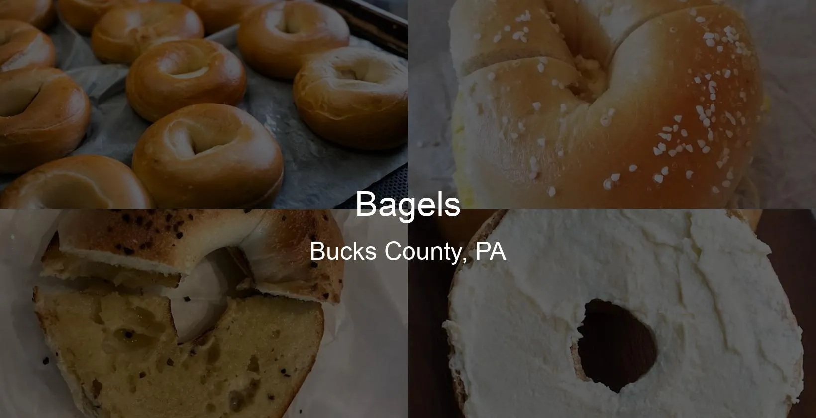 Bagels in Bucks County, PA Photo