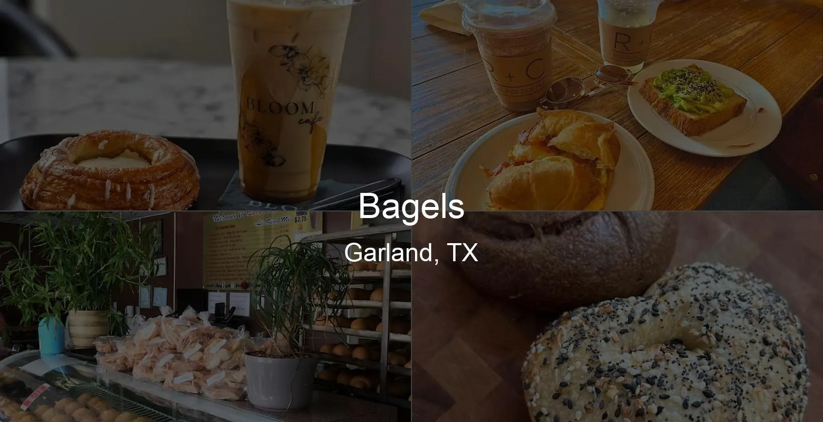 Bagels in Garland, TX Photo