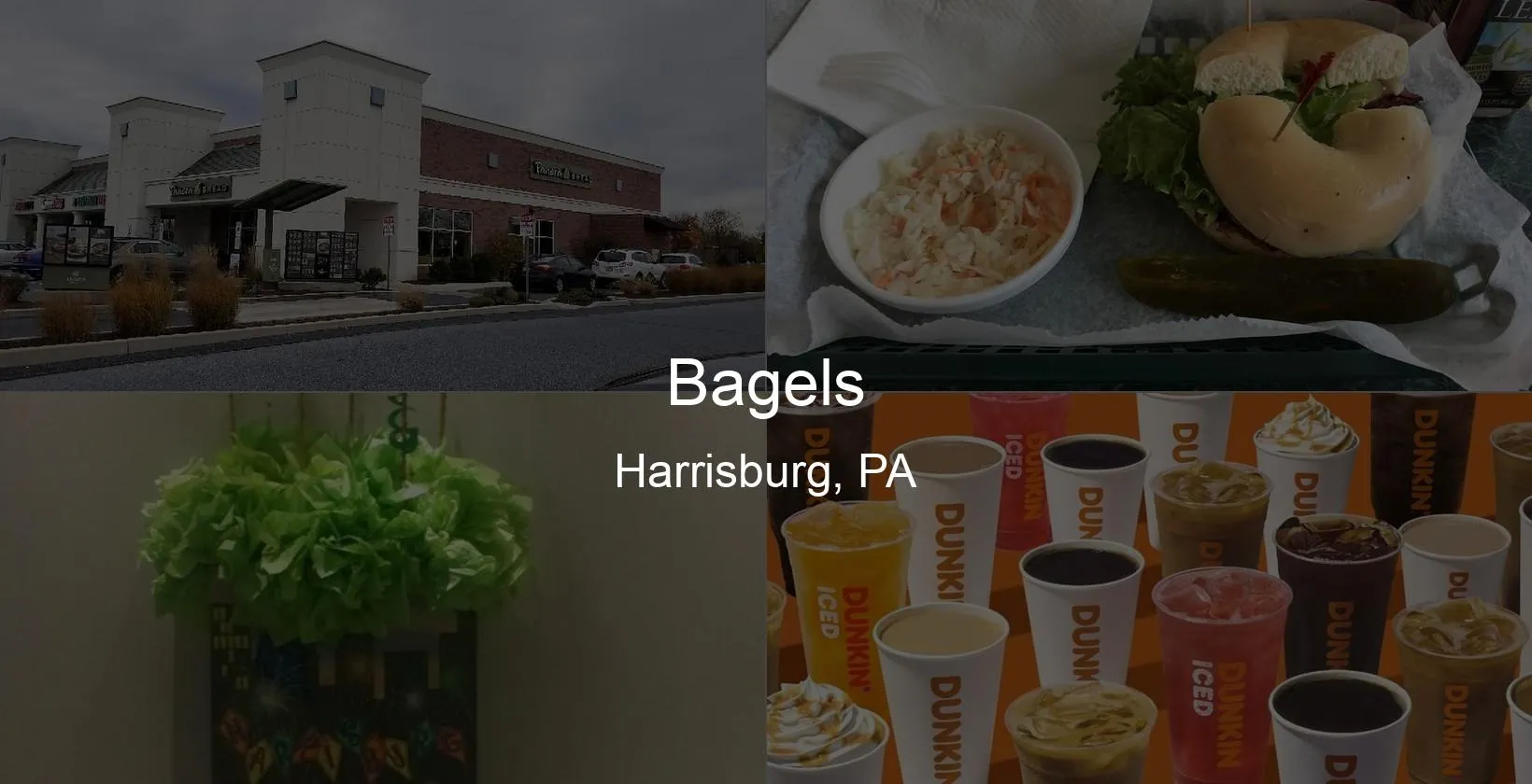 Photo of Bagels in Harrisburg, PA