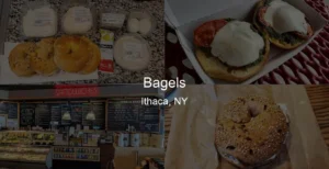 Bagels in Ithaca, NY Photo