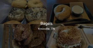 Bagels in Knoxville, TN Photo