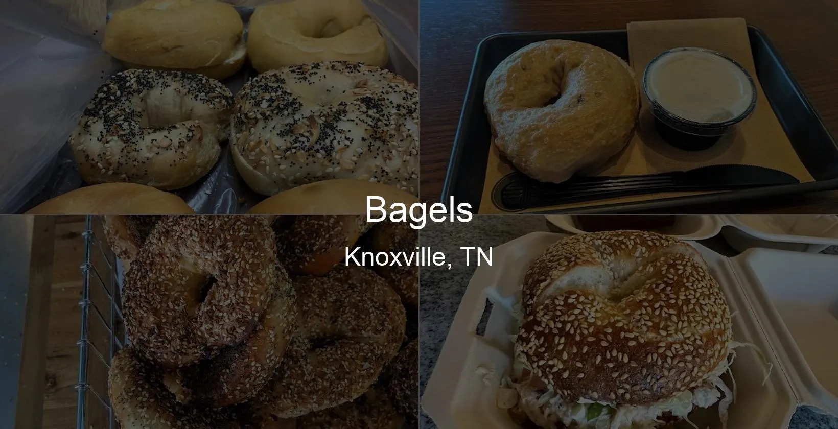 Bagels in Knoxville, TN Photo