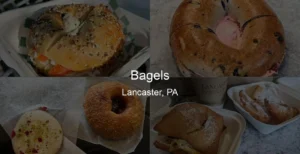 Bagels in Lancaster, PA Photo