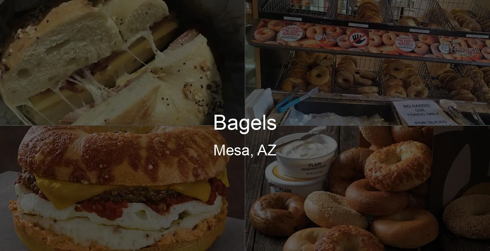 Bagels in Mesa, AZ Photo