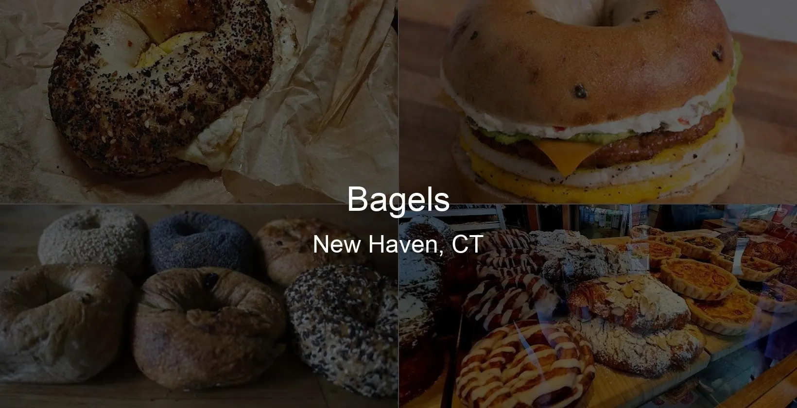 Bagels in New Haven, CT Photo