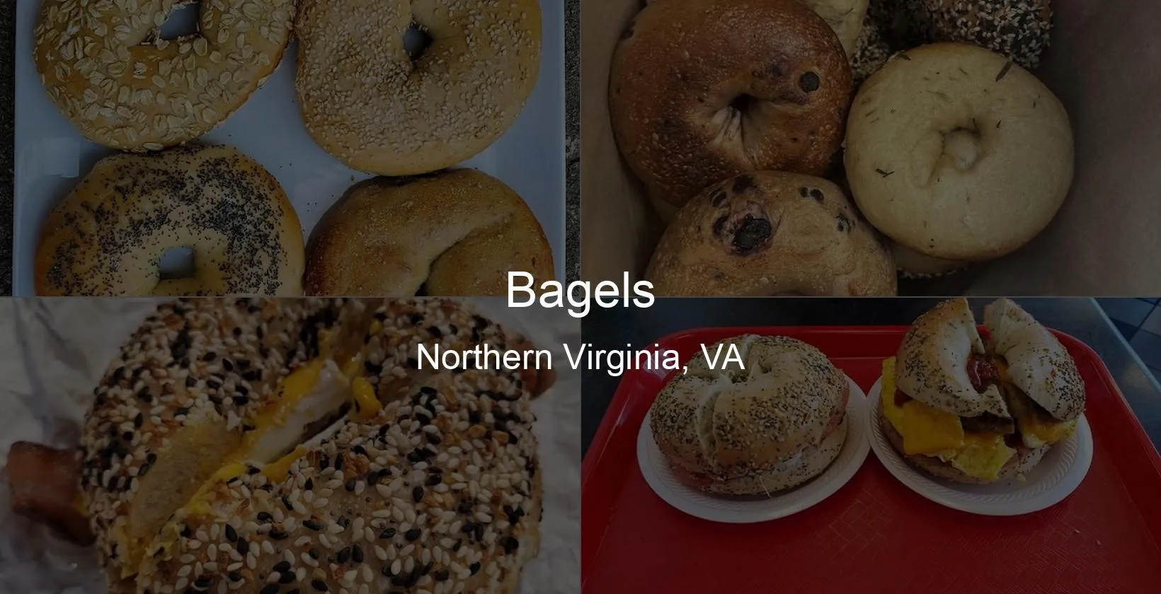 Bagels in Northern Virginia, VA Photo