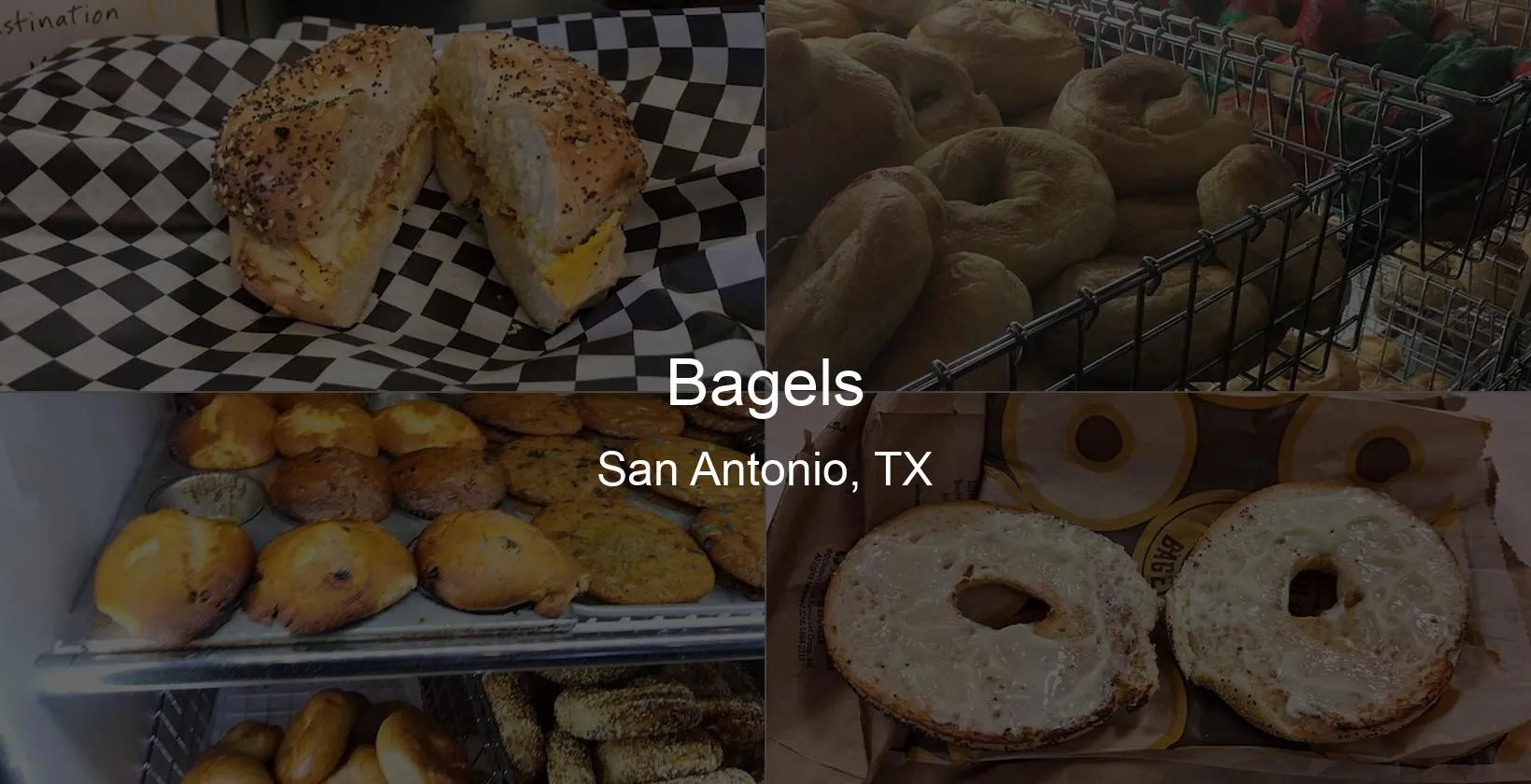 Bagels in San Antonio, TX Photo