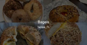 Bagels in Tampa, FL Photo