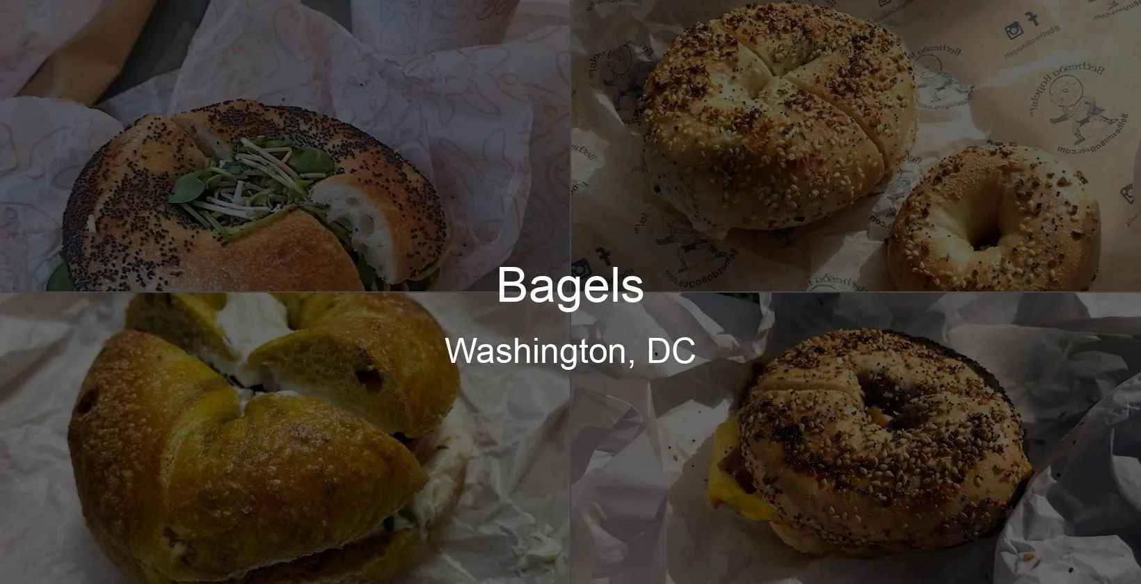 Bagels in Washington, DC Photo