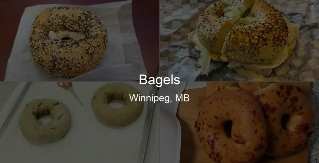 Bagels in Winnipeg, MB Photo