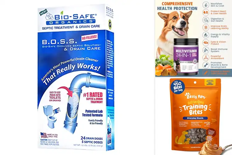 Detailed view of 10 Best All-in-One Treat Systems