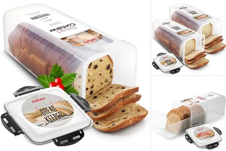 Detailed view of 10 Best Bagel Storage Boxes to Keep Them Fresh