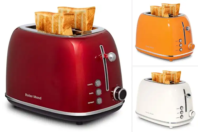 Detailed view of 10 Best Bagel Toasters for Perfect Crisp Mornings