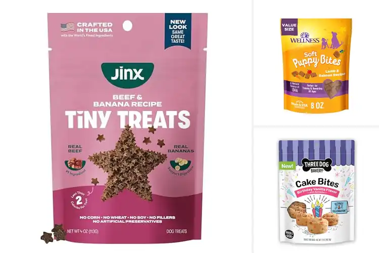 Detailed view of Best Bite Sized Treats