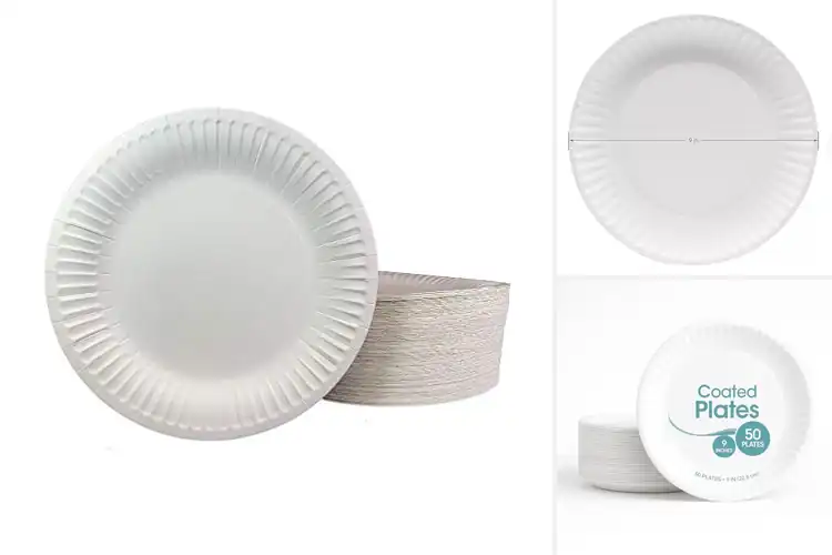 Detailed view of 10 Best Easy Clean Coated Plates: Simplify Your Meal Cleanup