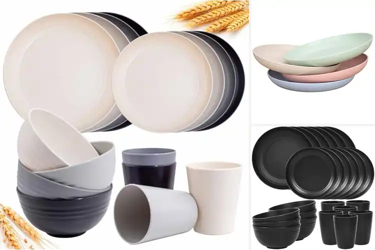 Detailed view of 10 Best Easy To Clean Plates: Simplify Your Cleanup Routine