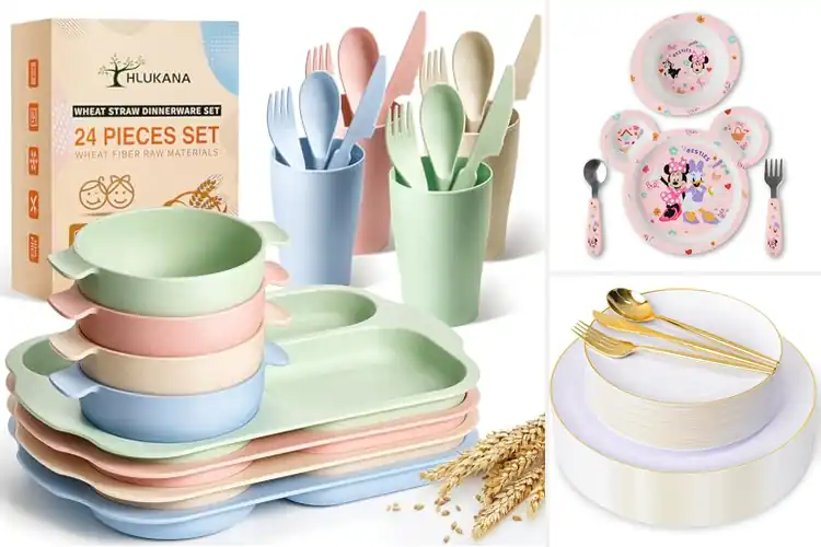 Detailed view of Best Included Plate Set: Top 10 Eco-Friendly & Durable Picks