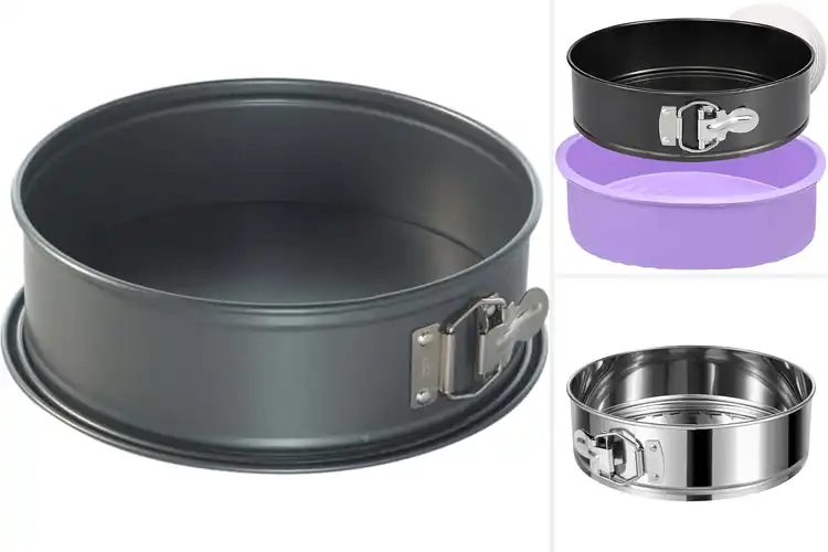 Detailed view of Best Leakproof Springform Pan