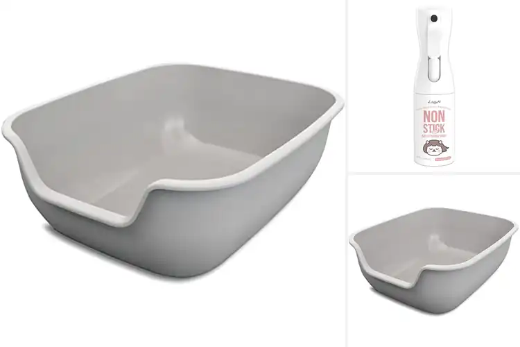 Detailed view of 10 Best Non Stick Coating Easy Cleaning