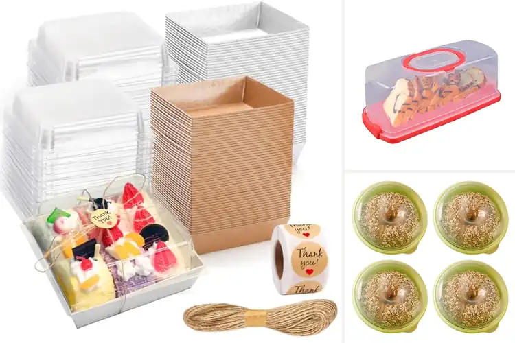 Detailed view of 10 Best Portable Bagel Boxes for Freshness Anywhere