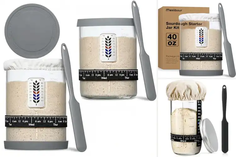 Detailed view of Best Sourdough Starter Containers