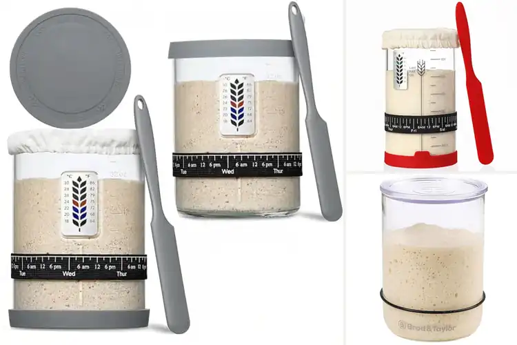 Detailed view of Best Sourdough Starter Jars