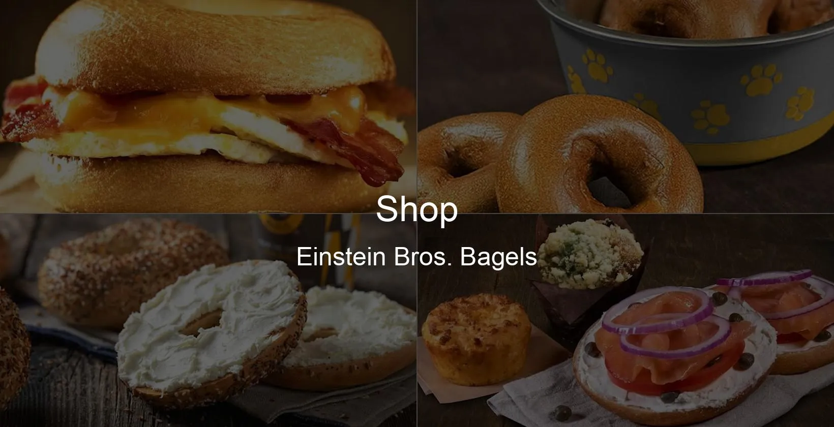 Einstein Bros. Bagels Photo